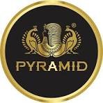 Pyramid Hisar Logo