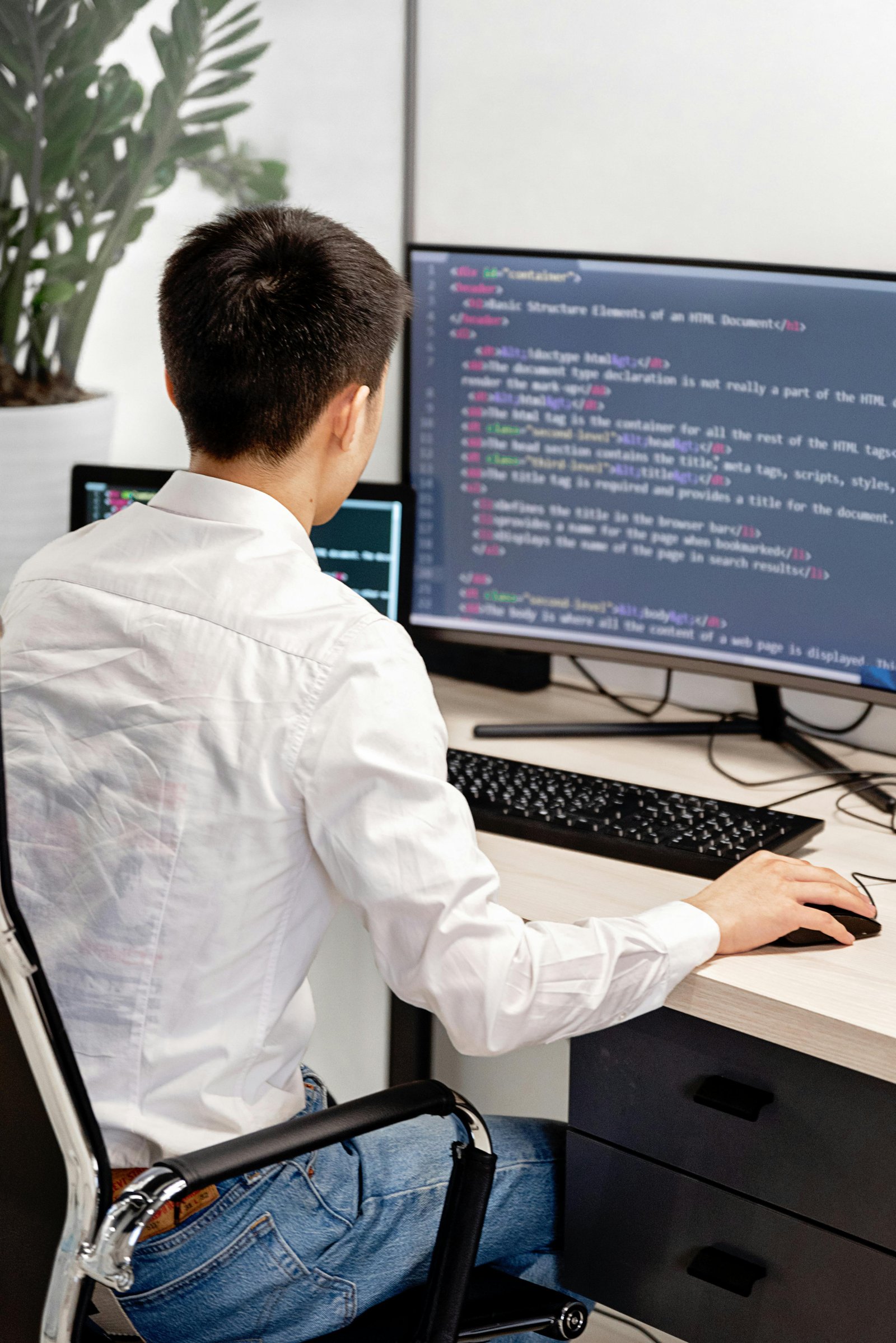 Web Development Training