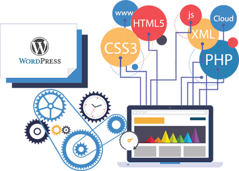 Web Designing Company in   Udaipur      