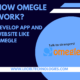 Website Like Omegle