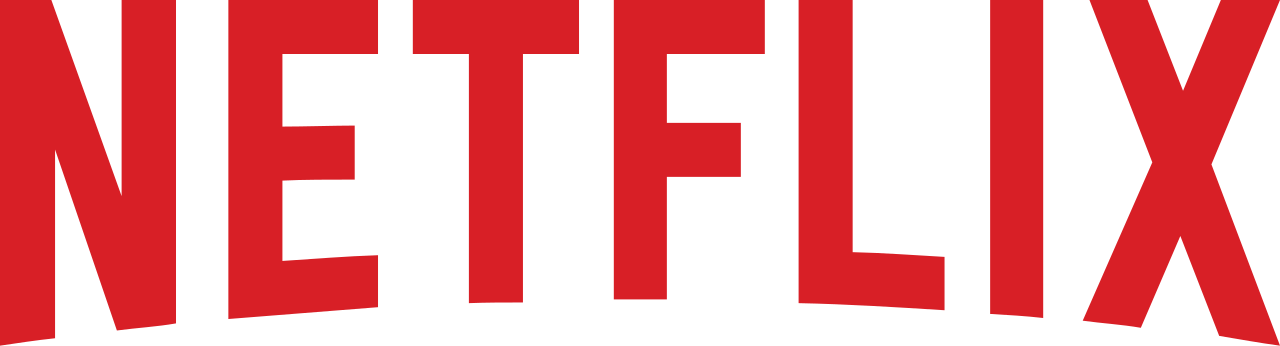 build netflix like website | website like Netflix 